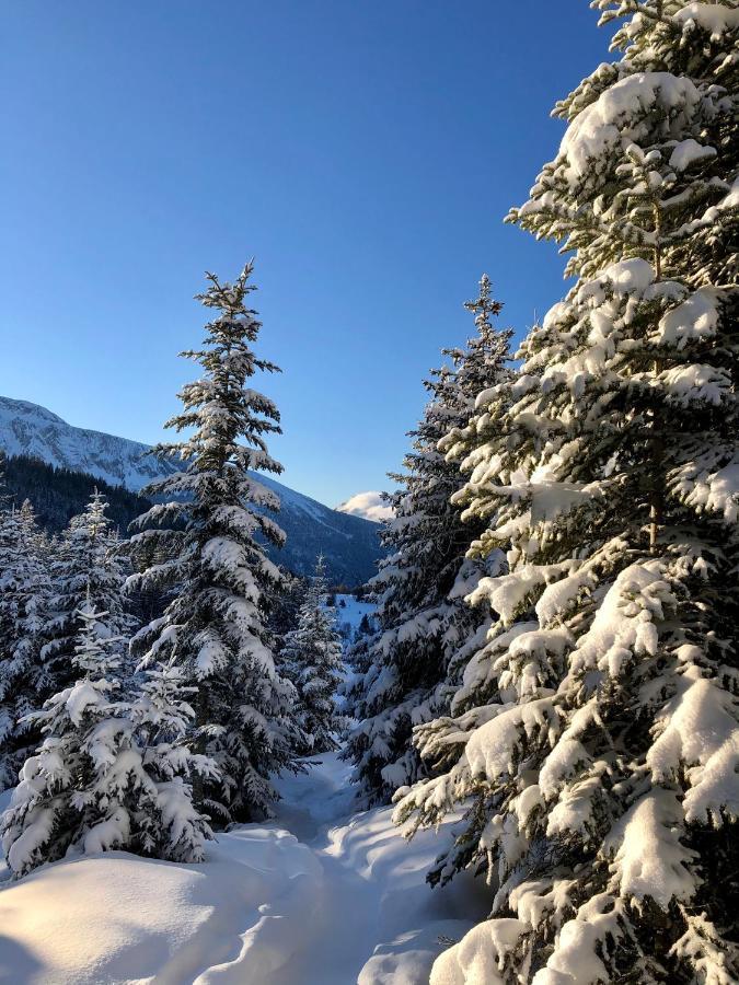 Ferienwohnung T2- 4Pers- Chamrousse Bachat Bouloud Exterior foto
